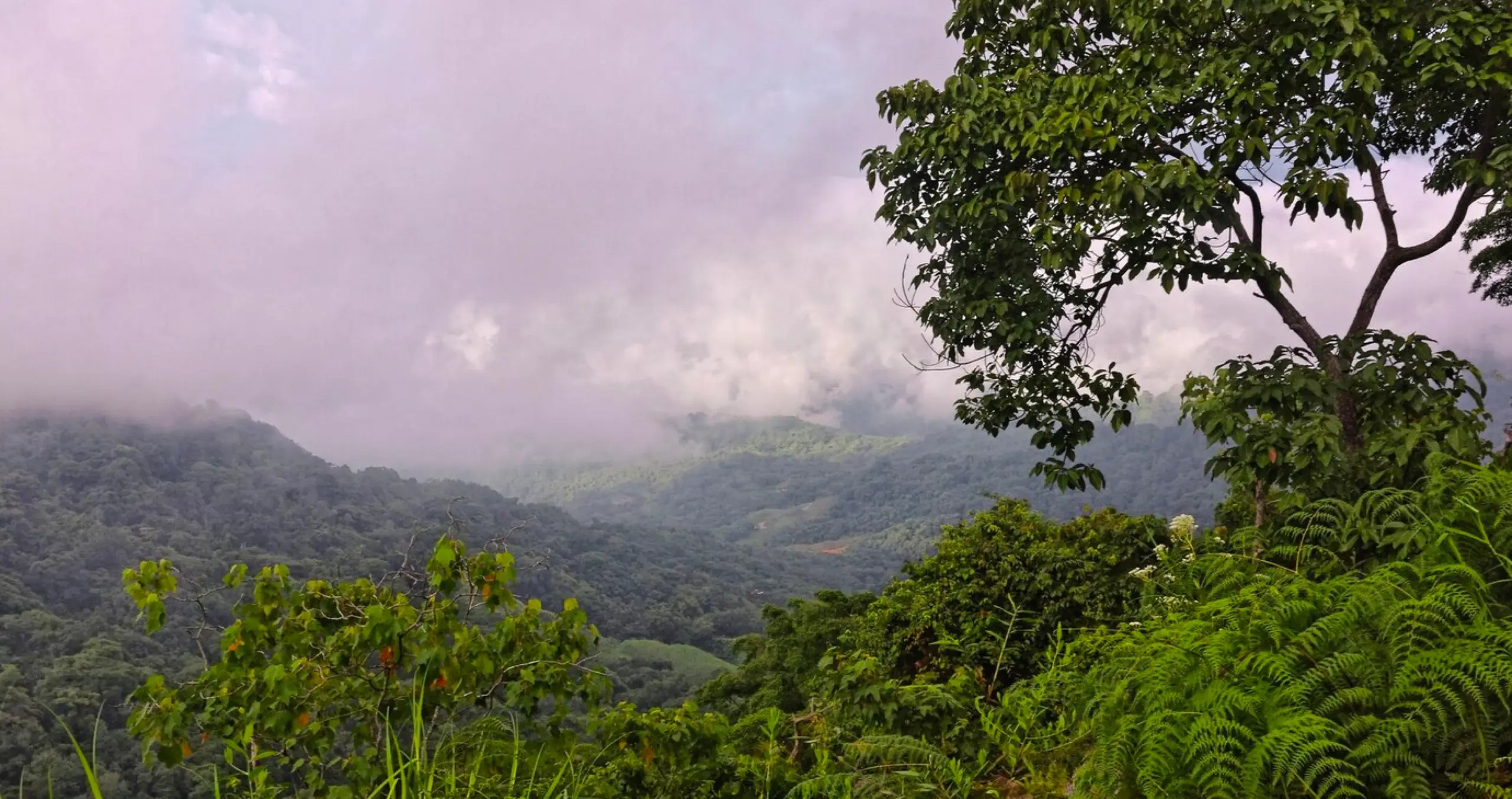 7 Days Sri Lanka Honeymoon Tour