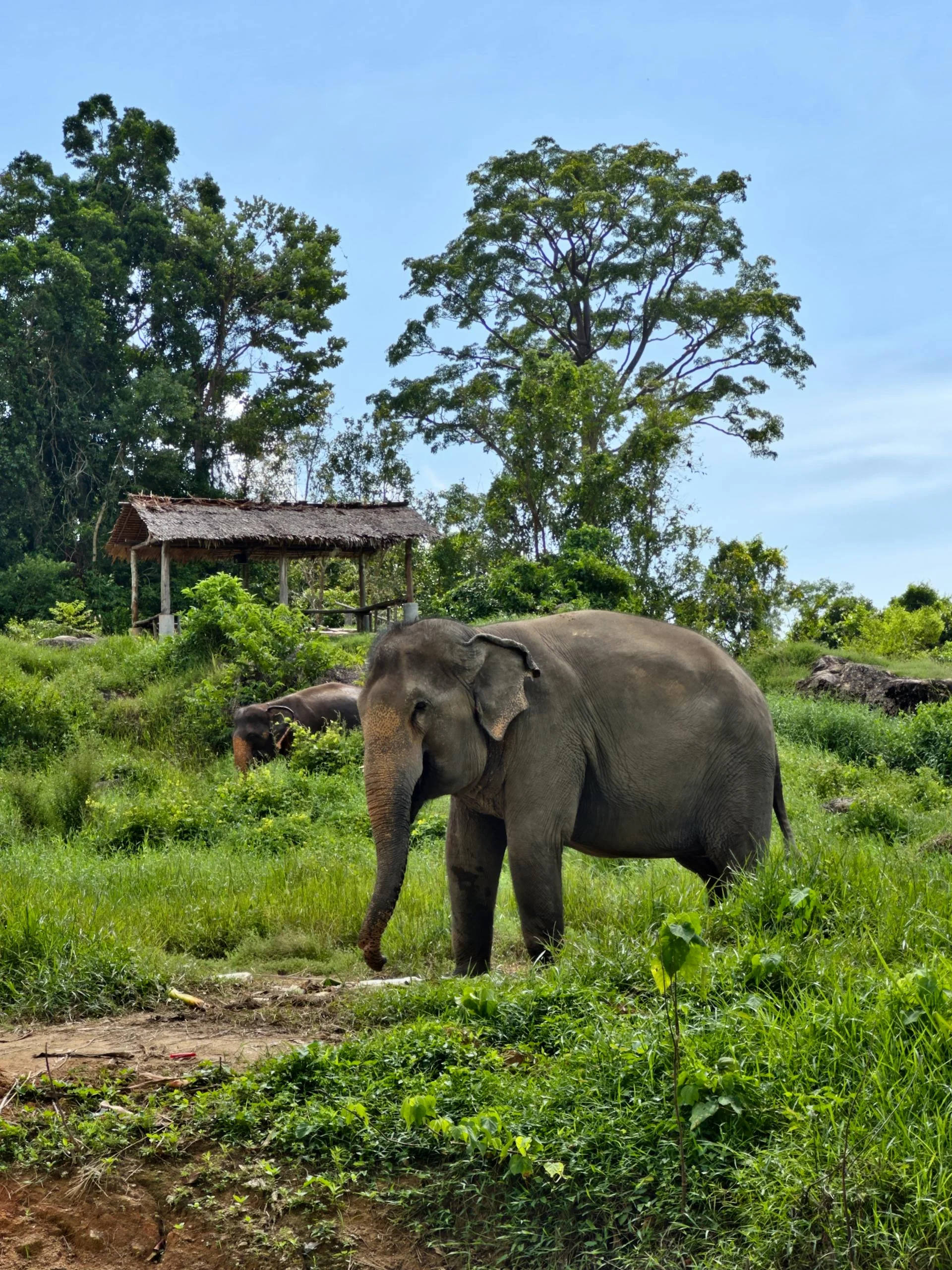 3 Days Sri Lanka Honeymoon Tour